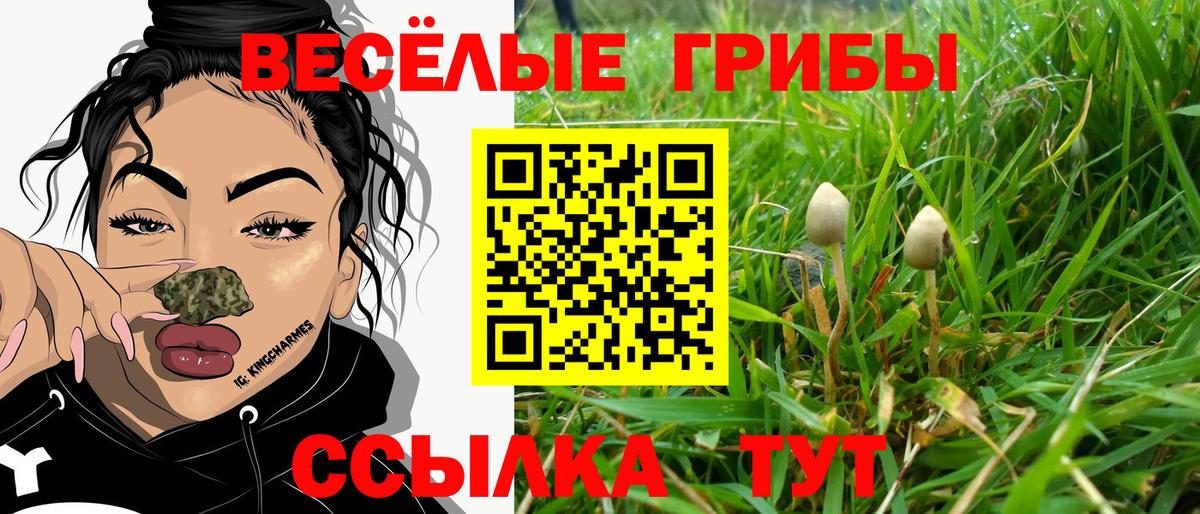 Псилоцибиновые грибы MAGIC MUSHROOMS Лесосибирск