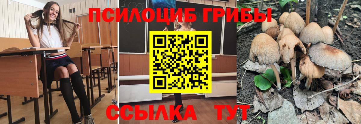 Лесосибирск  Галлюциногенные грибы GOLDEN TEACHER  Вход с VPN 